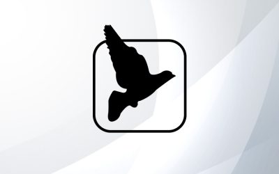 Feedback is Essential